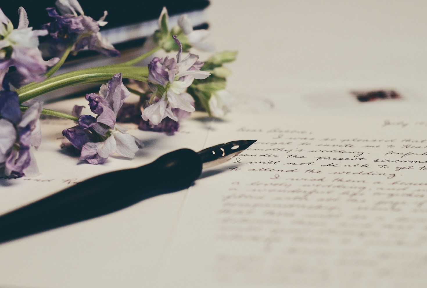 Building Connections Through Shared Fiction Experiences